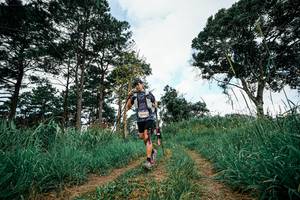 BIB: 
                            <button type="button" onclick="openModal(26028045)" class="btn btn-primary btn-sm float-right btn-popup" data-toggle="modal" data-target=".modal-high-quality">
                        <i class="fas fa-shopping-cart"></i> Add to Cart
                    </button>
                                            <button type="button" onclick="isThisMe(26028045, true)" class="btn btn-success btn-sm float-right btn-popup btn-isme hidden" data-toggle="tooltip" data-placement="bottom" title="นี่คือรูปของคุณใช่ไหม คลิกที่นี่เพื่อเอาเข้าอัลบั้ม">
                        <i class="fas fa-plus"></i> Add to album
                    </button>
                    <button type="button" onclick="isThisMe(26028045, false)" class="btn btn-warning btn-sm float-right btn-popup btn-isnotme hidden">
                        <i class="fas fa-ban"></i> Remove from album
                    </button>